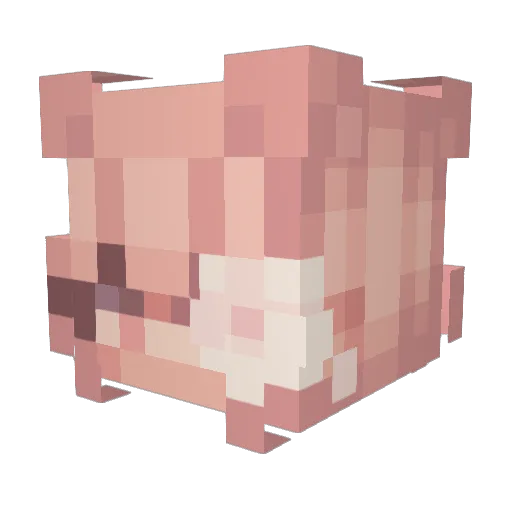 BattleSlowpoke Minecraft avatar head, 3D render