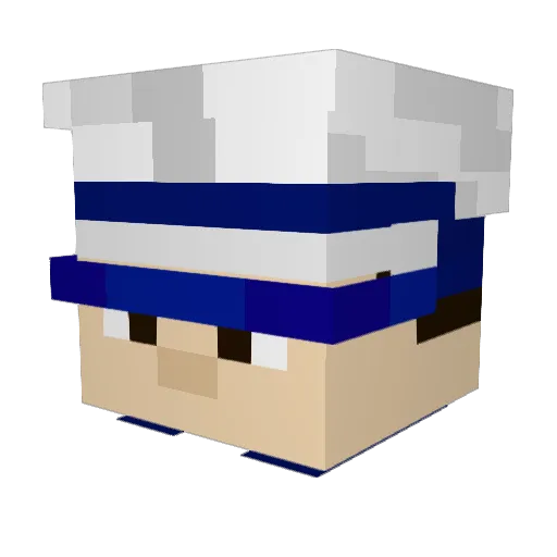 BattleSnoot Minecraft avatar head, 3D render