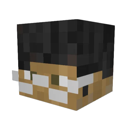 BattleSqaw Minecraft avatar head, 3D render