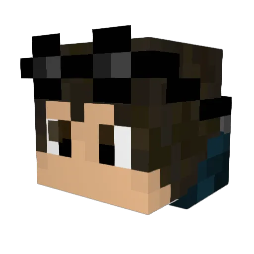 BattleToaster Minecraft avatar head, 3D render