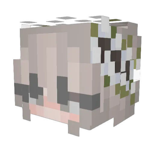 BattleTurtle080 Minecraft avatar head, 3D render