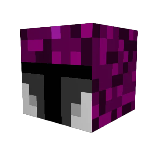 Battlecraver117 Minecraft avatar head, 3D render