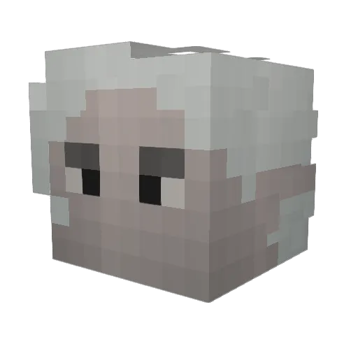 Battlemage_Class Minecraft avatar head, 3D render