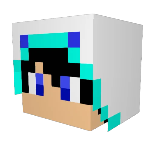 Battlepanda0406 Minecraft avatar head, 3D render