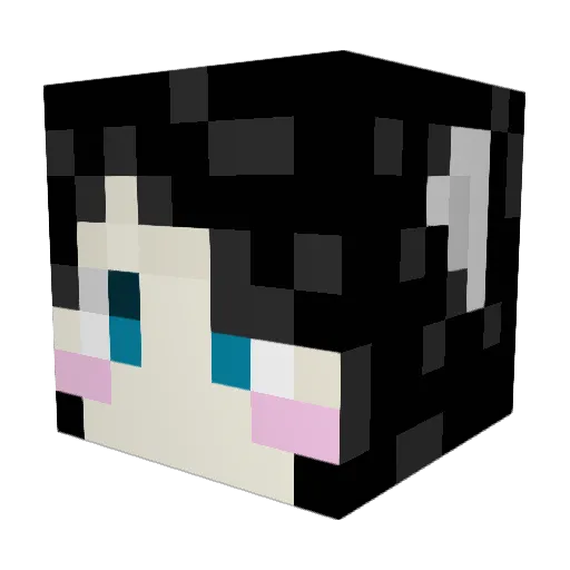 BattlestarKiwi Minecraft avatar head, 3D render