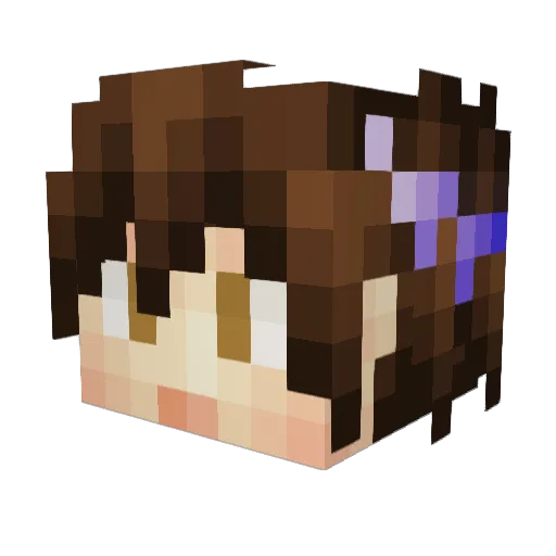 Battlestar_Kiwi Minecraft avatar head, 3D render