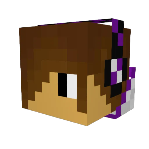 Battlesw4g Minecraft avatar head, 3D render
