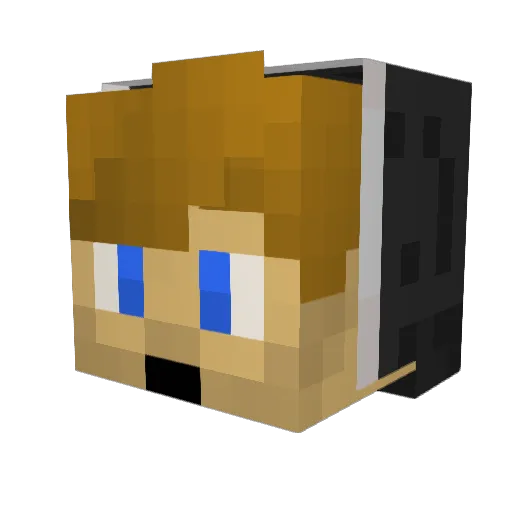 Battousai565 Minecraft avatar head, 3D render