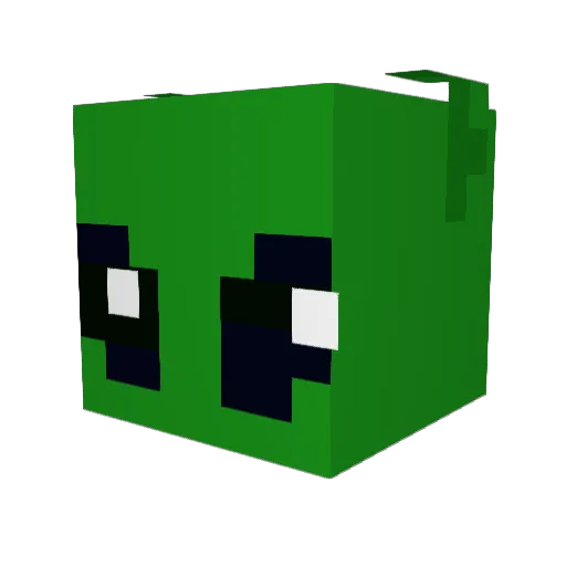 Batwill11 Minecraft avatar head, 3D render