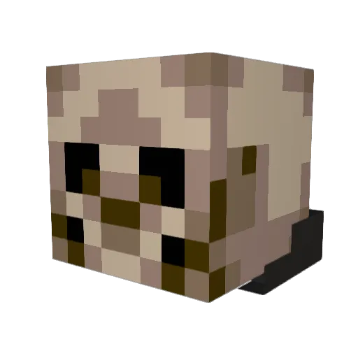 Batz1538 Minecraft avatar head, 3D render