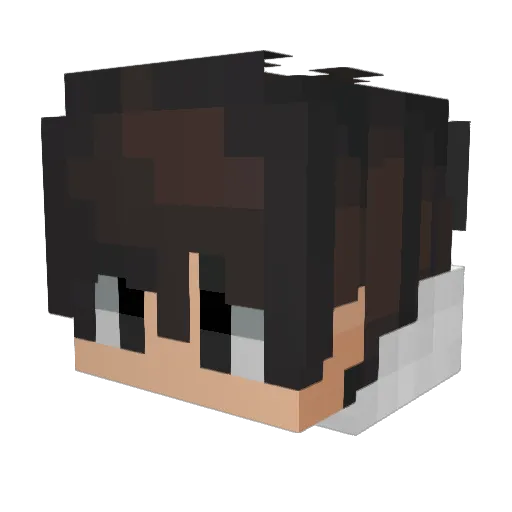 Bau123 Minecraft avatar head, 3D render