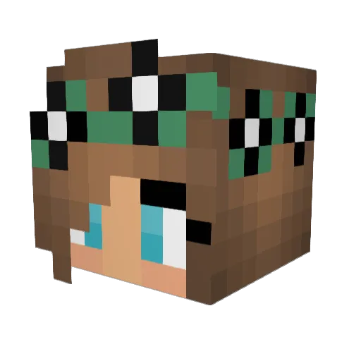Bau_Loewin Minecraft avatar head, 3D render
