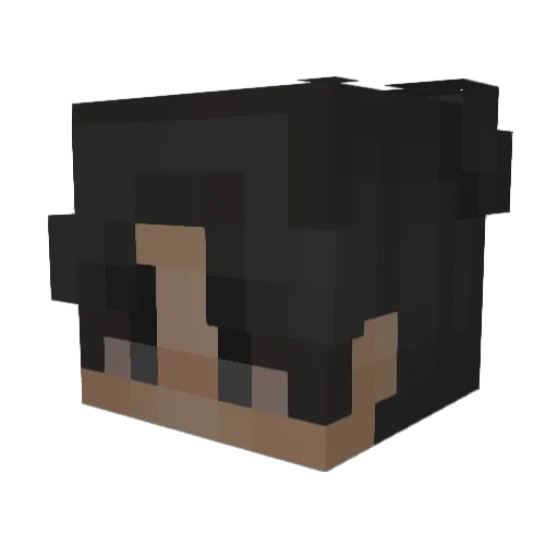 Baubedarf Minecraft avatar head, 3D render