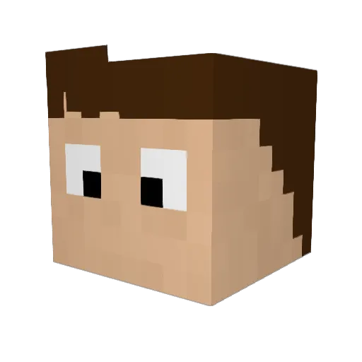 Bauchling Minecraft avatar head, 3D render