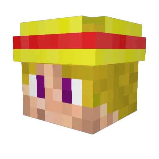 Bauer_Tom_ Minecraft avatar head, 3D render