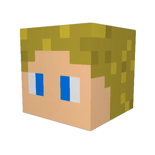 Bauerpower9 Minecraft avatar head, 3D render