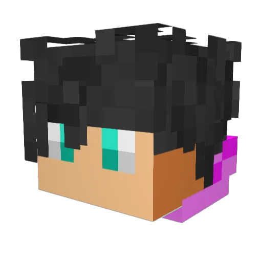 Bauii06 Minecraft avatar head, 3D render