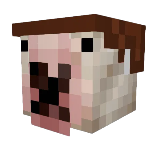 BauldMen69420 Minecraft avatar head, 3D render