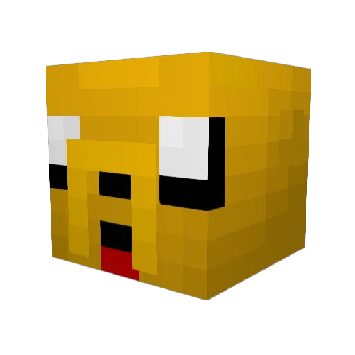 Baum_Leo Minecraft avatar head, 3D render