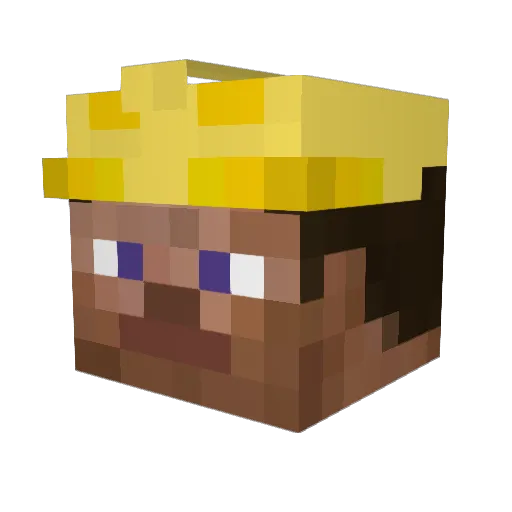 Baumaxx Minecraft avatar head, 3D render