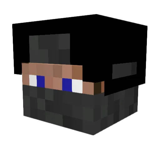 Baumeisterpro12 Minecraft avatar head, 3D render