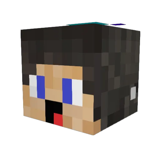 BaumiderBaum002 Minecraft avatar head, 3D render
