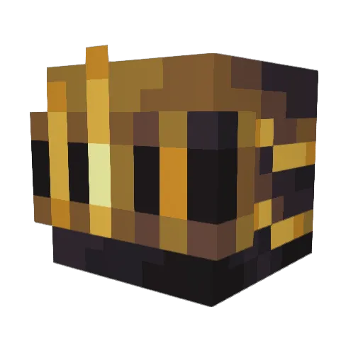 Baumik221 Minecraft avatar head, 3D render