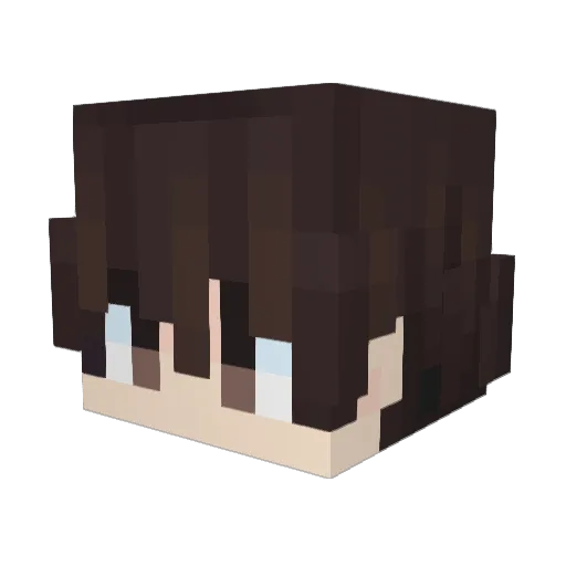 Baumm2008 Minecraft avatar head, 3D render