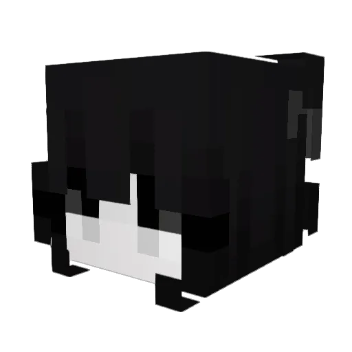 Baursak0 Minecraft avatar head, 3D render