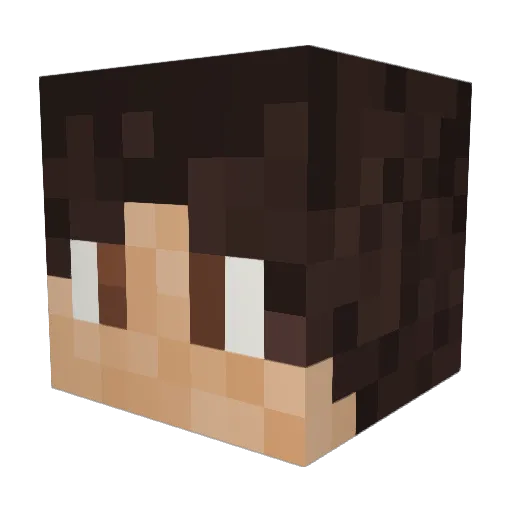Bauty2010 Minecraft avatar head, 3D render