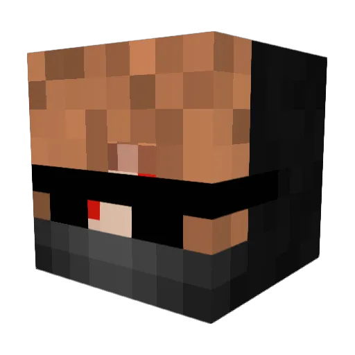 Bauzen Minecraft avatar head, 3D render