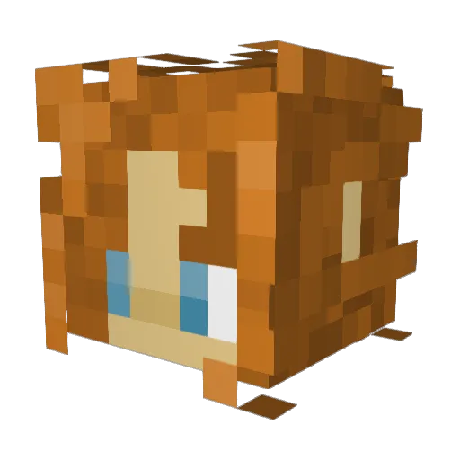 Bawxxy Minecraft avatar head, 3D render