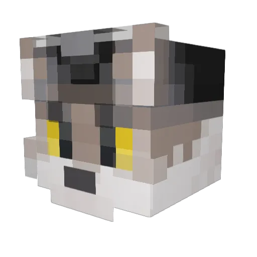 Bax1r Minecraft avatar head, 3D render