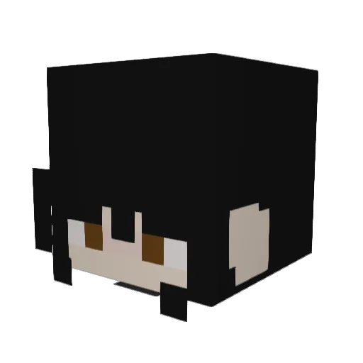 Baxero000 Minecraft avatar head, 3D render