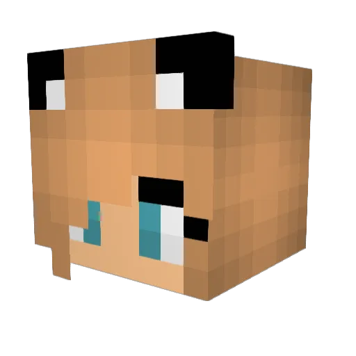 Baxterboy3 Minecraft avatar head, 3D render