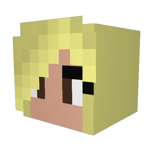 Bay1903136 Minecraft avatar head, 3D render