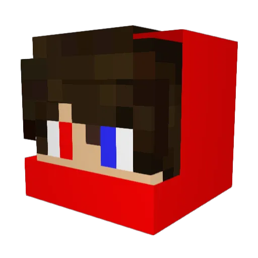 BayAsi_ Minecraft avatar head, 3D render