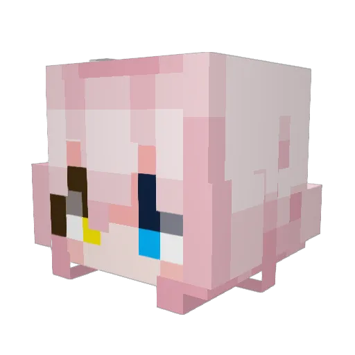 BayEfes Minecraft avatar head, 3D render