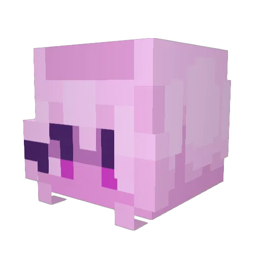 BayHarborBeater Minecraft avatar head, 3D render