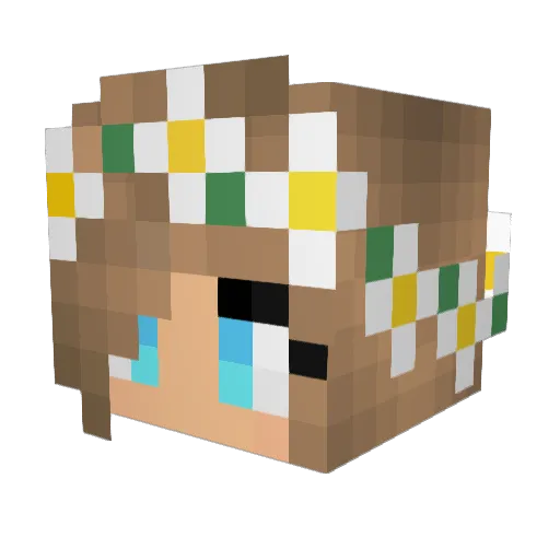 BayKengu534 Minecraft avatar head, 3D render