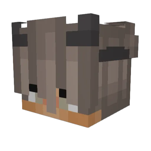 BayMustafa Minecraft avatar head, 3D render