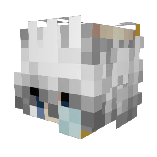 BayObur Minecraft avatar head, 3D render