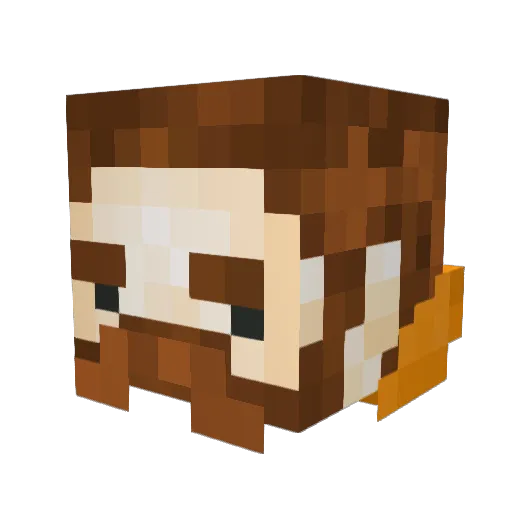 BayWolf07 Minecraft avatar head, 3D render