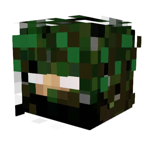 Bay_the_Creeper Minecraft avatar head, 3D render