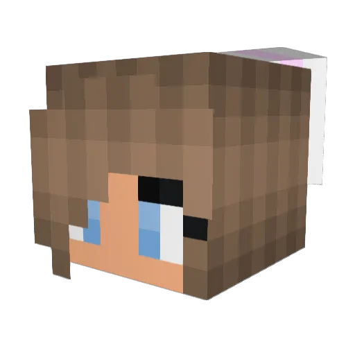 Baydon Minecraft avatar head, 3D render