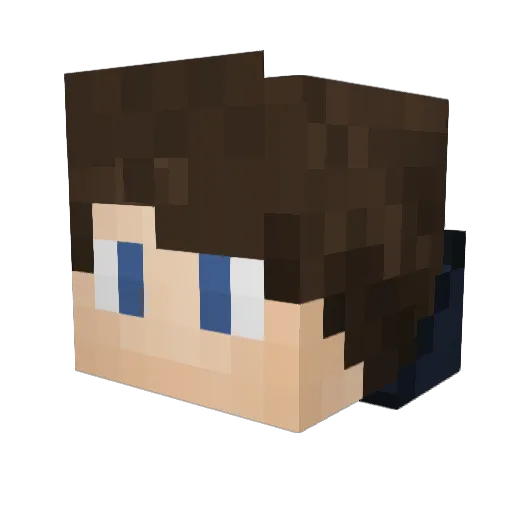 BayerLoewe Minecraft avatar head, 3D render
