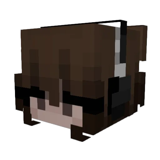 Baygel_ Minecraft avatar head, 3D render