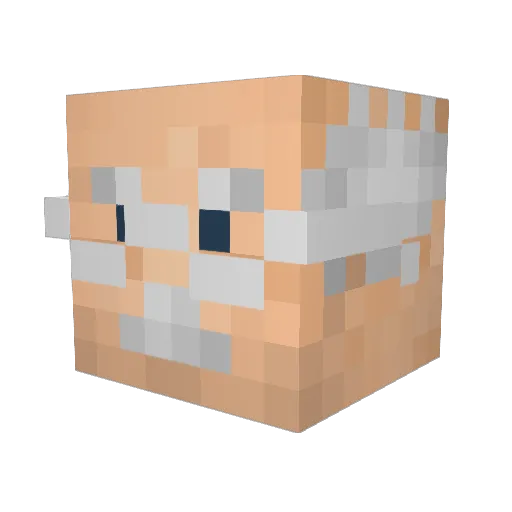 Bayjaj Minecraft avatar head, 3D render