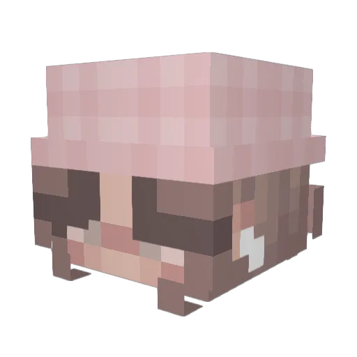 Baykins Minecraft avatar head, 3D render
