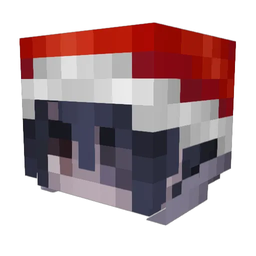 Bayleis20_09 Minecraft avatar head, 3D render